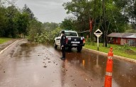 Temporal en Misiones: caídas de árboles, techos dañados y cortes de energía