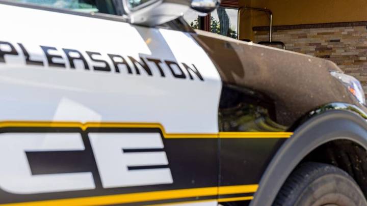 Boys, ages 12 to 15, arrested after Pleasanton strong