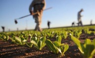 El Gobierno entregó insumos a productores de Laguna Blanca para la siembra
