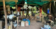 Ejército Nacional ubicó un laboratorio de cocaína del Clan del Golfo