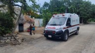 Ataque de abejas deja cinco lesionados en la comunidad San Diego de José María Morelos