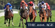 Race-by-race preview and tips for Sunday’s meeting at Dubbo