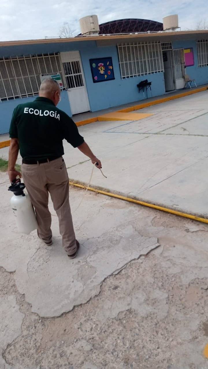 Atiende Ecología 31 instituciones a través de Fumigación por tu Escuela