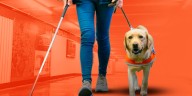 Proponen formación especial para que personal de CDMX respete los derechos de usuarios con perros de asistencia