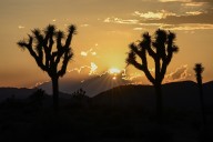 What a government shutdown will mean for Californians, from Social Security to national parks