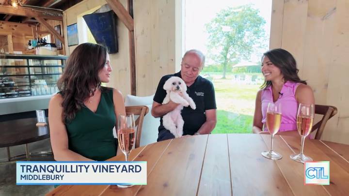 CT LIVE: Tranquillity Vineyard