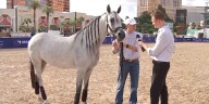Elite Arabian Horse competition to debut in Las Vegas
