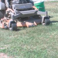 Lawn care services starting to feel drought’s impact