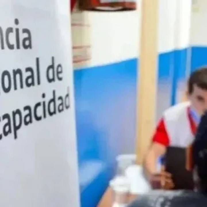 ANDIS: qué es y cómo funciona el organismo que quedó en el centro de la tormenta