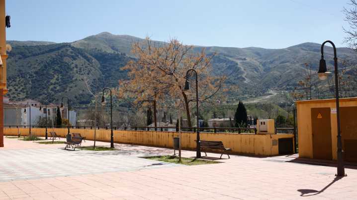La solidaridad 'echa a correr' en Cenes de la Vega con una carrera benéfica de Manos Unidas