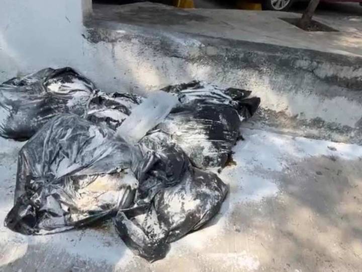¿Ritual satánico? Hallan restos de cabras y aves decapitadas en NL