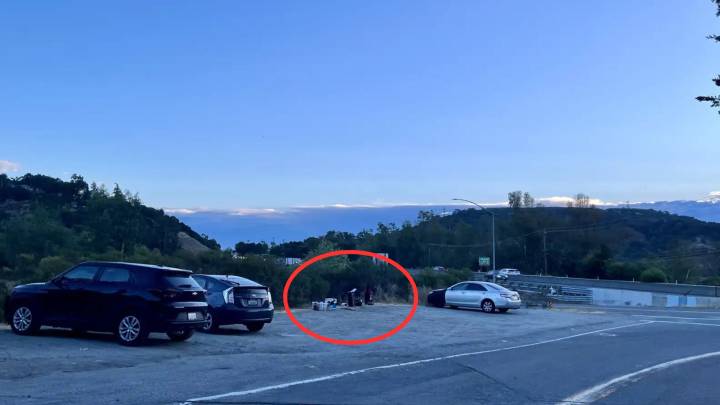California Couple Stunned To Stumble Upon 5 Fluffy Babies Abandoned In A Parking Lot Steps In To Help