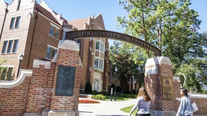 The best public universities in Florida, ranked