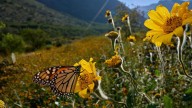 Así será el clima en primavera: más calor en Cuyo y centro, lluvias inferiores a lo normal en el Litoral