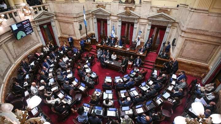 Otro golpe para Javier Milei: el Senado rechaza el veto y reactiva la Ley de Emergencia en Discapacidad