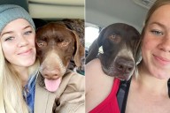 Woman Adopts Her Late Dog’s Brother Who Shares His Same Mannerisms (Exclusive)