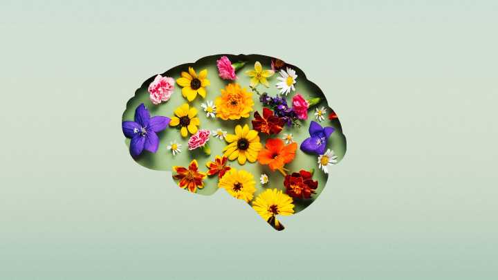 These mental health myths are holding you back
