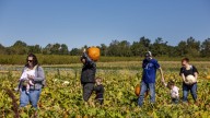 Huber's Orchard and Winery wins USA Today 10BEST Reader's Choice Award