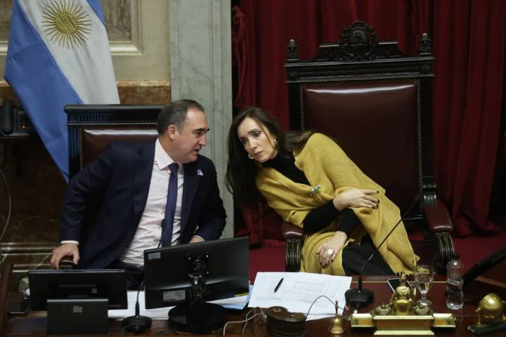 Desafío a Milei. El Senado define si se suma a la ofensiva parlamentaria contra el Gobierno e insiste con la ley de ATN