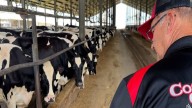 Feeding Florida is rescuing thousands of gallons of milk
