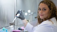 Revelan que las hormonas tiroideas favorecen la diseminación de ciertos linfomas