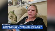 Chicago crime: Lake Villa woman punched, knocked out in Loop; records show William Livingston previously accused of hitting others
