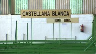 La Feria Internacional Ganadera de Zafra arranca el 2 de octubre con más de 2.000 cabezas de ganado More