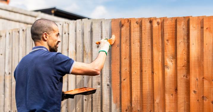 UK households warned of rules over painting your side of a neighbour's fence