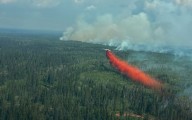 The unexpected upside of Canada's wildfires