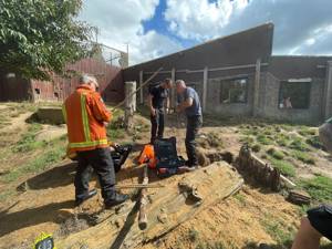Fire crews responds to zoo after wolves dig through enclosure