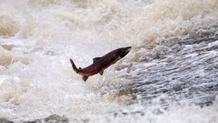 U.S. rivers are experiencing unprecedented and intense warming