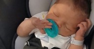 Tragedy as newborn baby dies after being mauled to death by family pitbull