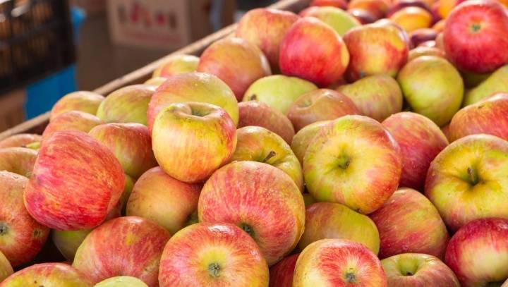 Pick apples at these 7 New Hampshire orchards this fall