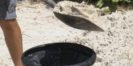 Venice, Sarasota residents can pick up free sandbags Sept. 14