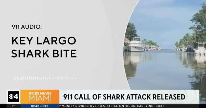 911 call reveals frantic moments after 8-year-old boy bitten by shark off