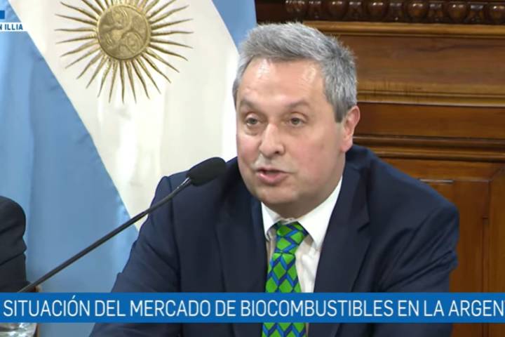 “En quebranto”. Empresarios de biocombustibles hicieron un duro diagnóstico en el Senado