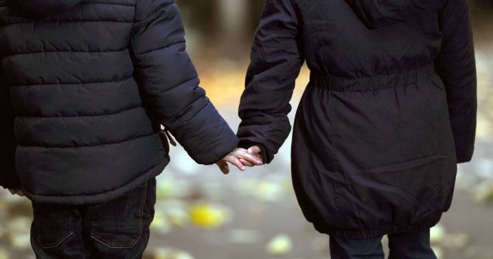 Police pilot scheme expected to be 'inundated with referrals' as it hails success