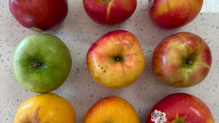 These are the 8 best places for apple picking in…