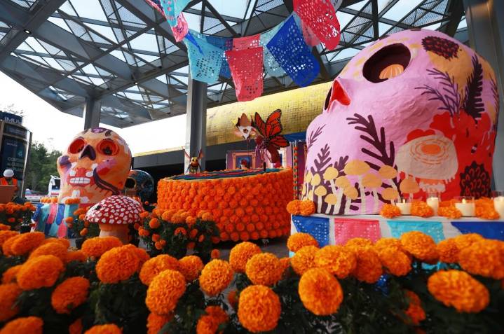 Sedema lanza concurso de ofrendas en Chapultepec para honrar a compositores fallecidos
