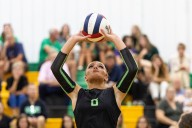 Volleyball: Demi Carbone, Providence beat Lincoln