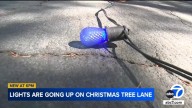 Altadena volunteers begin putting up lights for Christmas Tree Lane