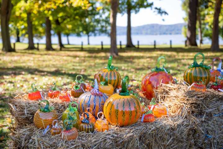 Glass Pumpkin Patch Returns to Sleepy Hollow This Weekend