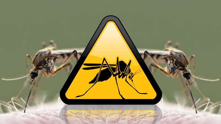 Fresno County Confirms First Local Death From West Nile Virus in 2025