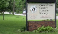 Open house showcases Salem animal shelter renovations