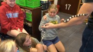 Fargo fifth graders meet snakes in the classroom