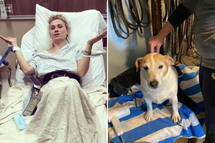 Actor breaks her back after Hudson Valley stable owner's dog 'lunges,' spooks horse