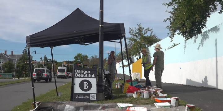 Massive mural, native plants installation going into Downtown Bangor