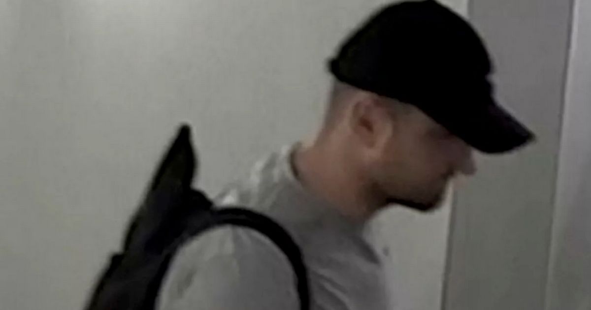 Manhunt for Westminster intruder after woman attacked by man forcing way inside