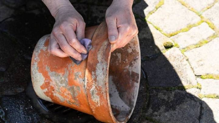 El truco de limpieza para limpiar tus macetas antes de volverlas a usar para sembrar tus plantas