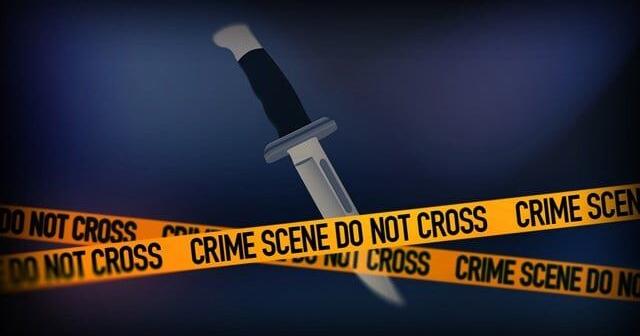 Charlotte officials under fire after man with long criminal history kills Ukrainian woman on train